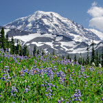 Hipcamp host Rainier G.