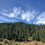 Hipcamp host Mandala Springs T.,