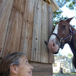 Hipcamp host Jennifer C.,