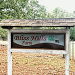 Hipcamper Bliss