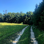 Hipcamp host Silviu H.,