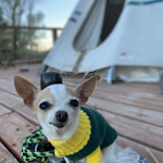 Hipcamper Stacy
