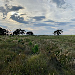 Hipcamp host Flying Cow Ranch H.,