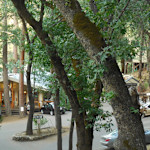 Hipcamp host Yosemite Bug R.,