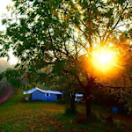 Hipcamp host Eddy V.,