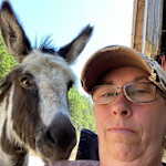 Hipcamp host Kimberly C.,