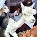 Hipcamp host Christa H.,
