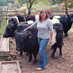 Hipcamp host Anne P.,
