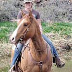 Hipcamp host Denise N.,