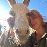 Hipcamp host Allison S.,