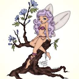 Hipcamper Mirabai