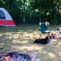 Hipcamper Wil