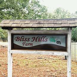 Hipcamper Bliss