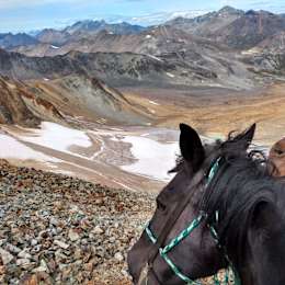 Hipcamper Chilcotin
