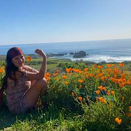 Hipcamper Tricia Louise