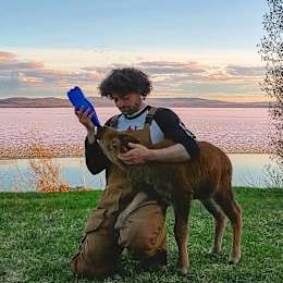 Hipcamper Garrett