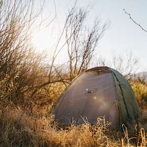 If you're tent camping, make sure to head to the back of the sites in the "generator free zone."