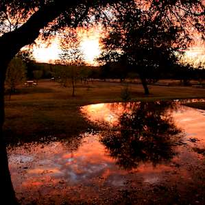 Cottonwood Campground