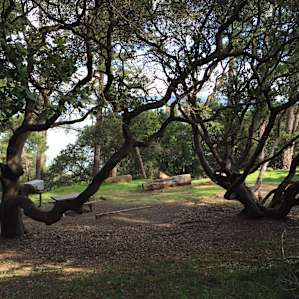 Angel Island Campground