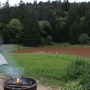 Bullfrog Pond Campground