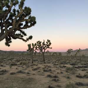 Sunrise is the best time of day.