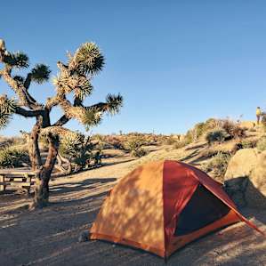 Campsite at Jumbo Rocks- tie down and stake your tent it gets windy at night!