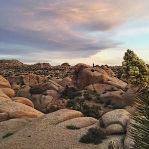 Sunset at Jumbo Rocks