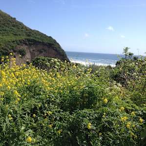 View from campsite 7