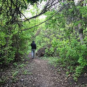 A 2.5 mile trail loops around the lake, through low-lying trees and brush. In the morning many varieties of birds are heard and seen flitting around.