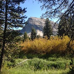 Tuolumne Meadows Walk-In Campground