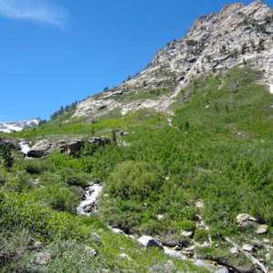 Awesome hiking trail starts in between 2 campsites. Waterfalls, creek, snow-- beautiful!