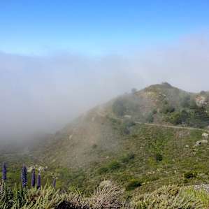 Morning marine layer over Steep Ravine