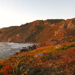 Steep Ravine Cabins and Campground