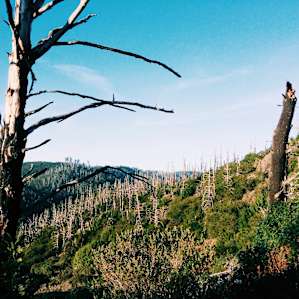The hillside view from the 4 mile hike down to the ocean from Sky Camp
