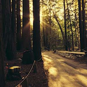 The path leading up towards Valley View Trail