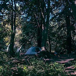 Campsite 177, looking from the river.