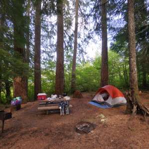 Cold Water Cove Campground, Willamette, OR: 1 Hipcamper Review And 3 Photos