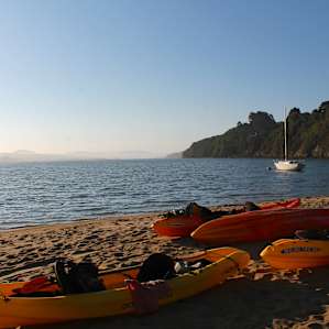 Tomales Bay Campground