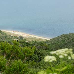 Tomales Beach from above! Hike up the fire road by the toilets to get this view.