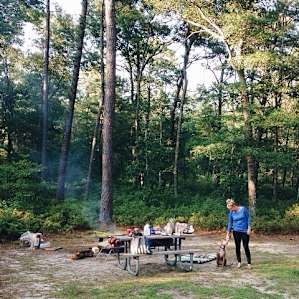 My husband, pitbull pup and I stumbled upon Bass River State Forest last year and have already made it an annual must! The sites are both beautiful and quiet and you're only steps to hiking and the water.