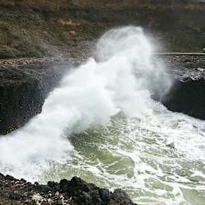 Get your heart pumping while visiting Cook's Chasm, Spouting Horn, Devils Churn, and Thor's Well at high tide. Explore the tide pools at low tide.