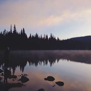Reflections on Elk, Lake