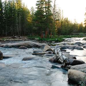 The A loop of campgrounds are right next to the Tuolumne River.