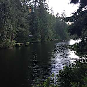 Many sites offer lakeside views