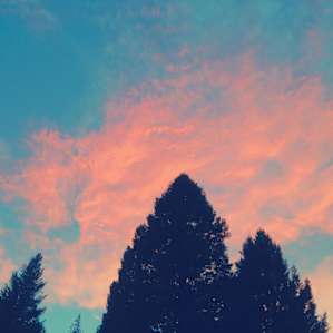 Sasquatch Meadows