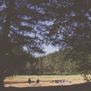 Sasquatch Meadows