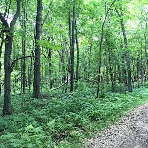 Savanna and Riverway Campground