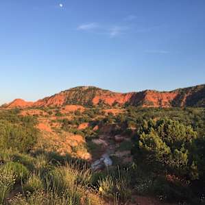 One of the views off the mini trails leading to the campsites