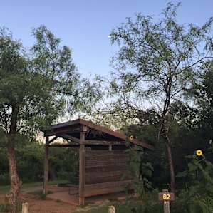 Sunflowers are prevalent throughout the park and campground