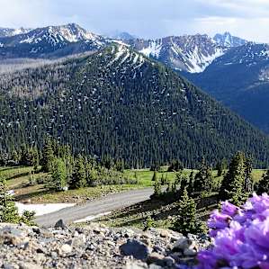 Hart's Pass Campground
